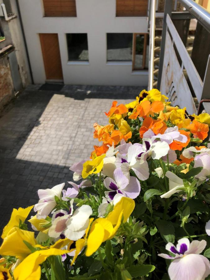 Appartamento Incantevole Con Parcheggio Privato Casteldidone Exterior foto